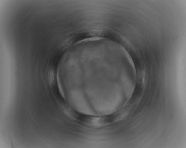 X0000111360130200907311020