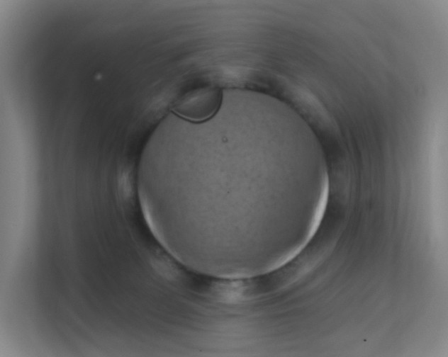 X0000111360131200907311020