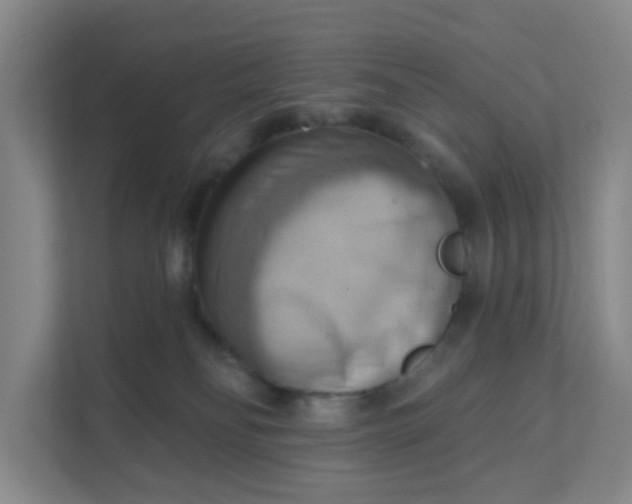 X0000111360134200907311020