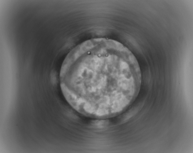 X0000111360135200907311020