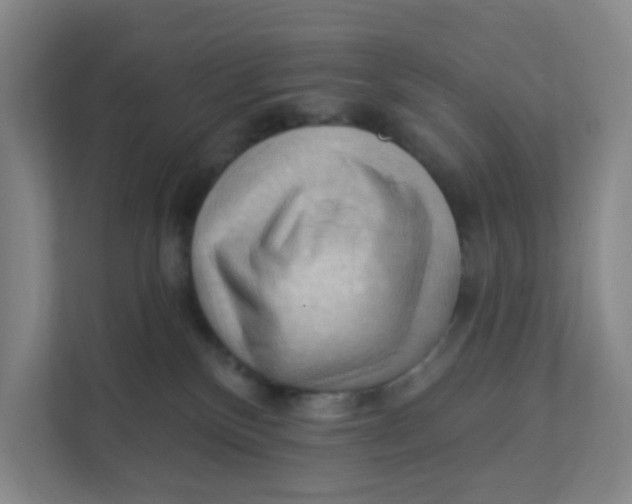 X0000111360136200907311020