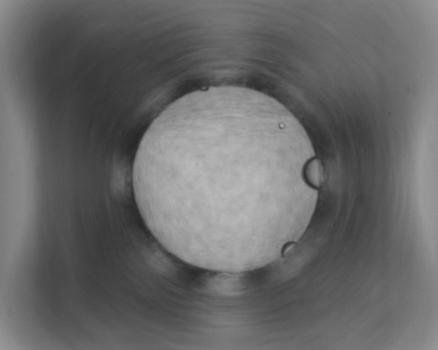 X0000111360138200907311020