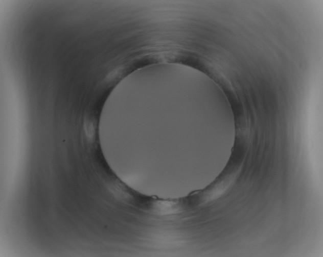 X0000111360139200907311020