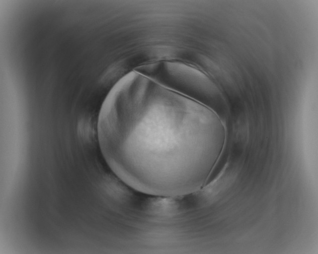 X0000111360140200907311020