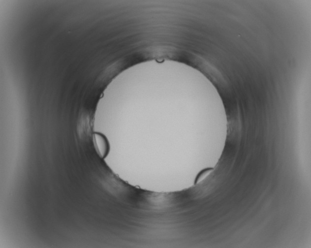 X0000111360142200907311020