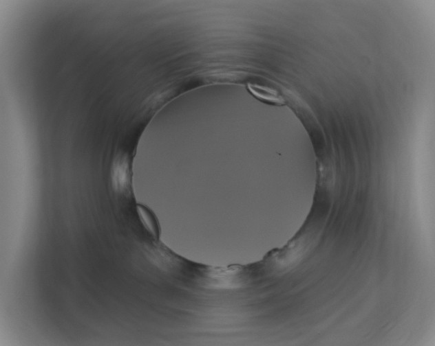 X0000111360143200907311020