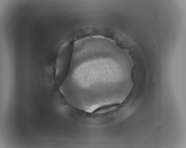 X0000111360144200907311020