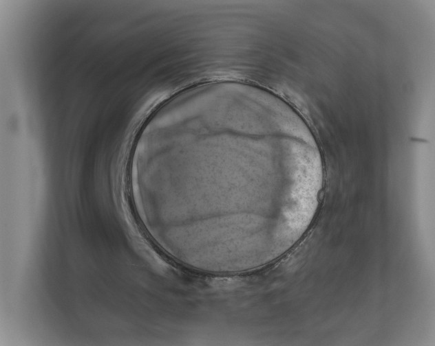 X0000111360145200907311019