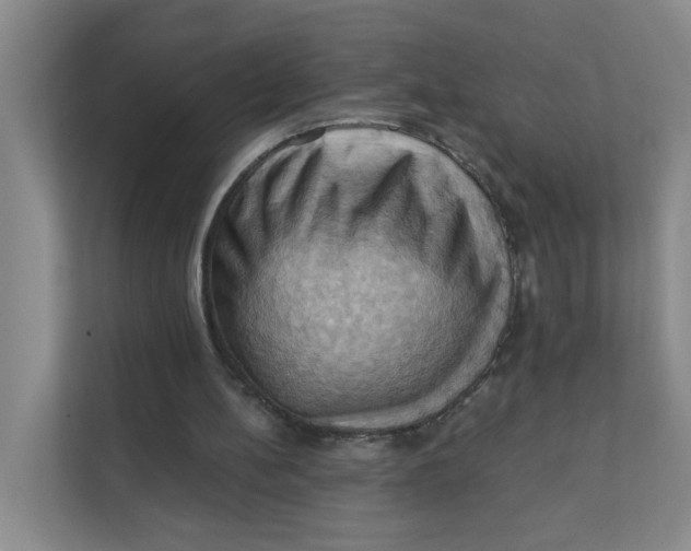 X0000111360148200907311020