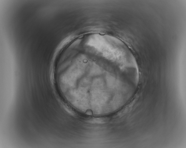 X0000111360149200907311020