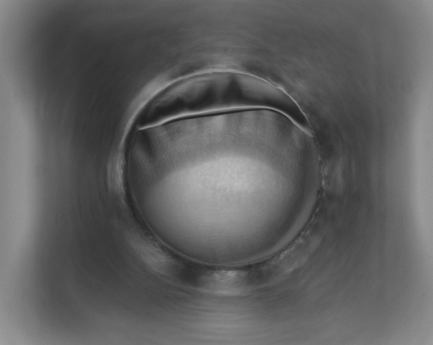 X0000111360152200907311020