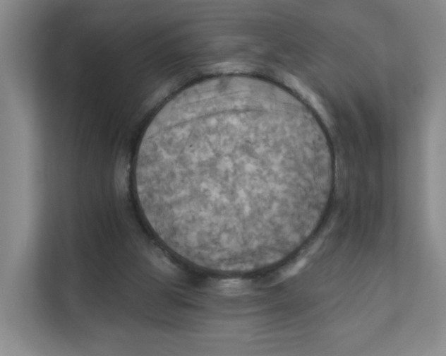 X0000111360153200907311020