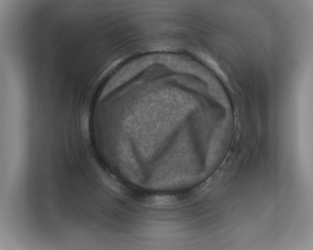 X0000111360154200907311020