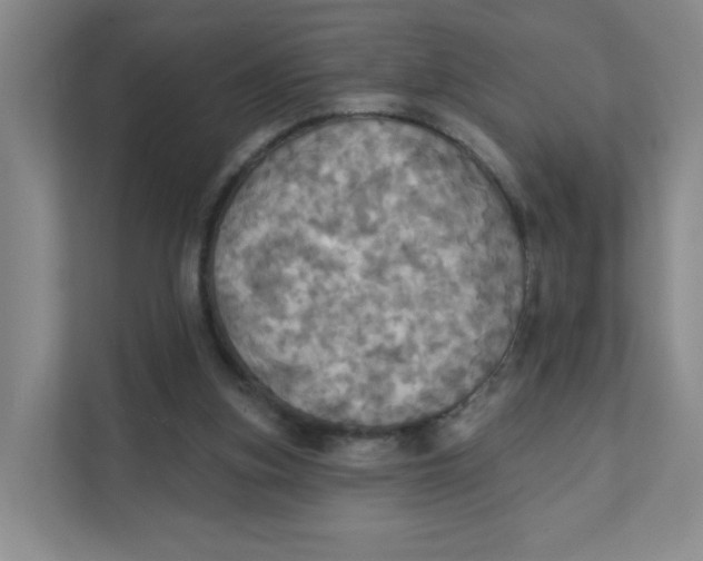 X0000111360155200907311020