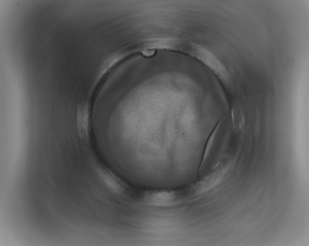 X0000111360156200907311020