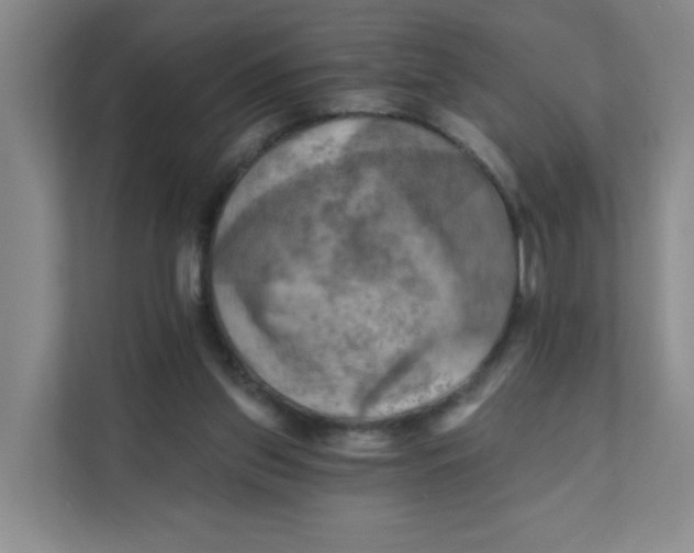 X0000111360157200907311020