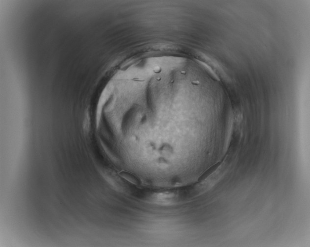 X0000111360158200907311020