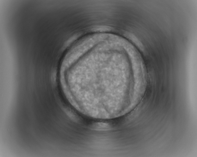 X0000111360159200907311020