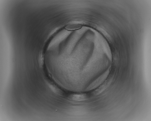 X0000111360160200907311020