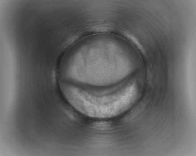 X0000111360161200907311020