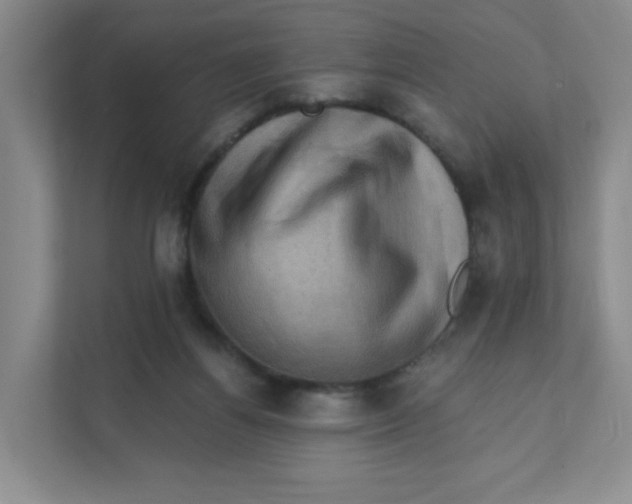 X0000111360164200907311020