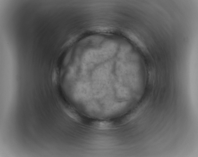 X0000111360165200907311020