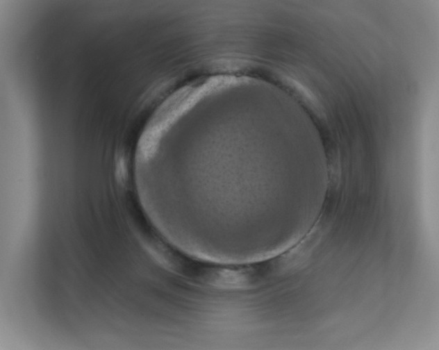 X0000111360166200907311020