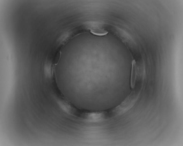 X0000111360168200907311020