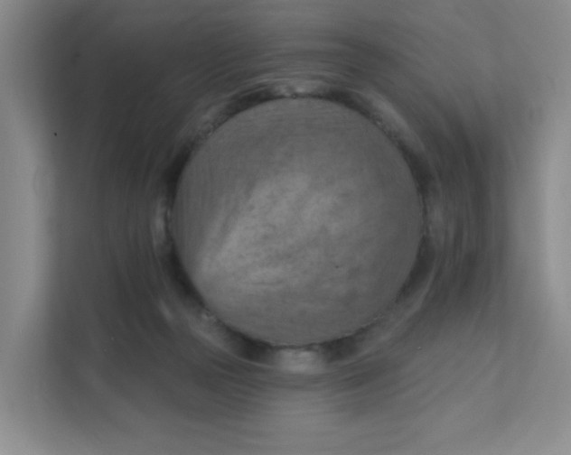 X0000111360169200907311020