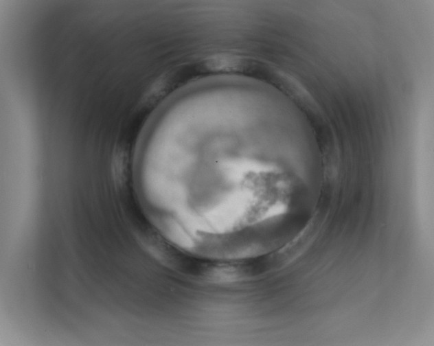 X0000111360171200907311020