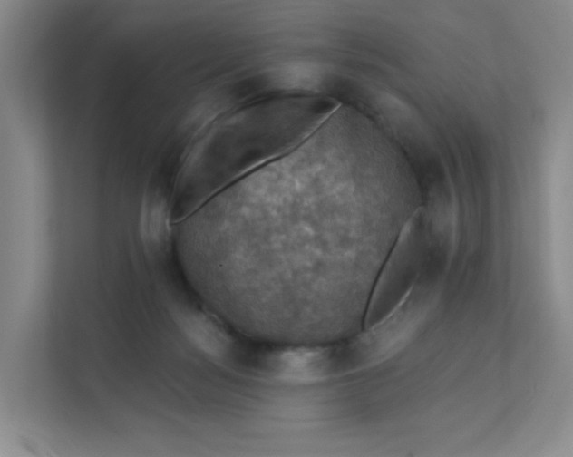 X0000111360172200907311020