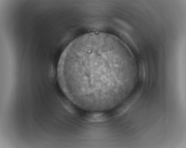 X0000111360173200907311020