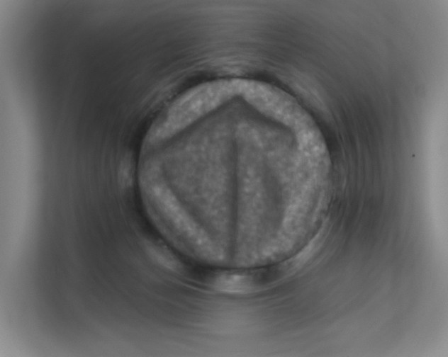 X0000111360174200907311020