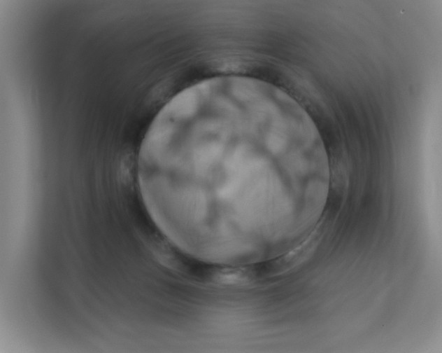 X0000111360175200907311020