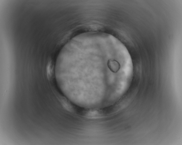 X0000111360177200907311020