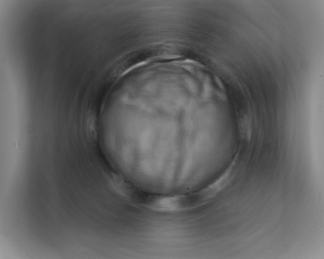 X0000111360178200907311020