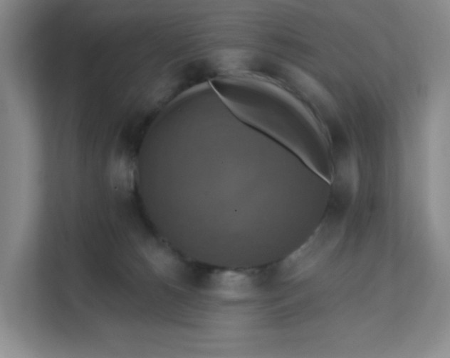 X0000111360180200907311020