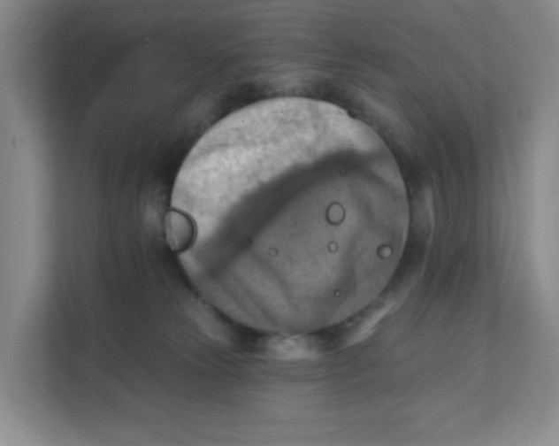 X0000111360181200907311020