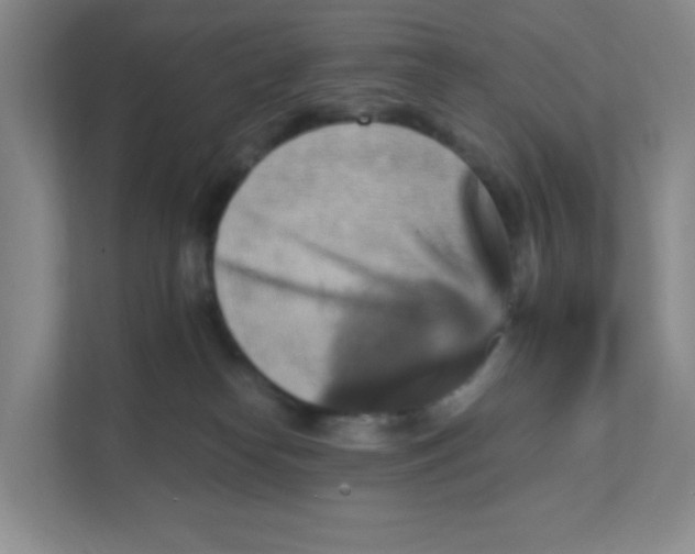 X0000111360182200907311020