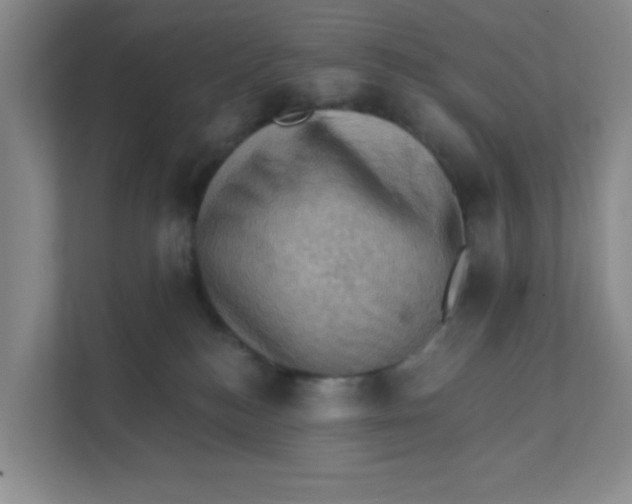 X0000111360184200907311020