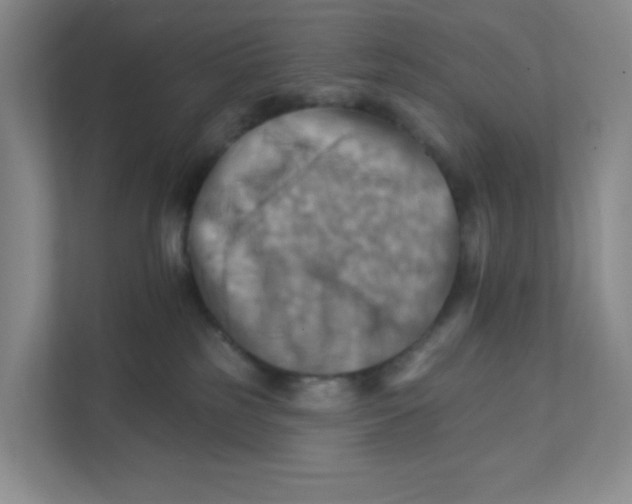 X0000111360185200907311020