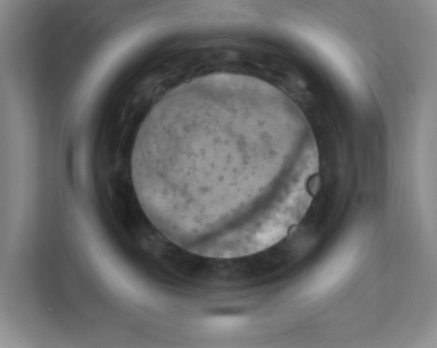 X0000111360189200907311020