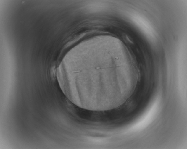 X0000111360190200907311020