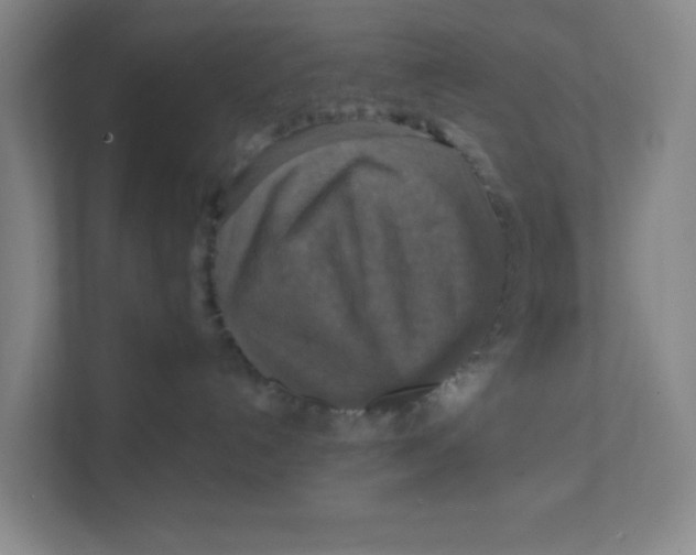 X0000111360192200907311020