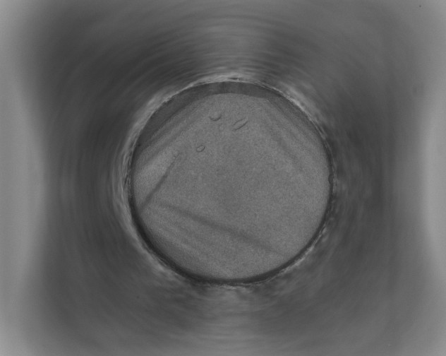 X0000111360193200907311019