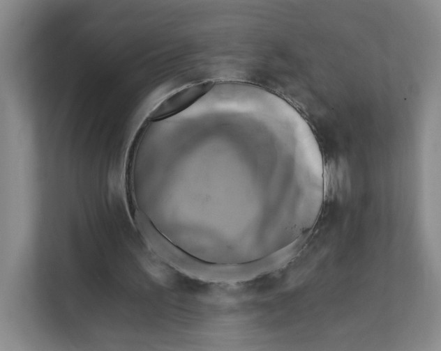 X0000111360195200907311019