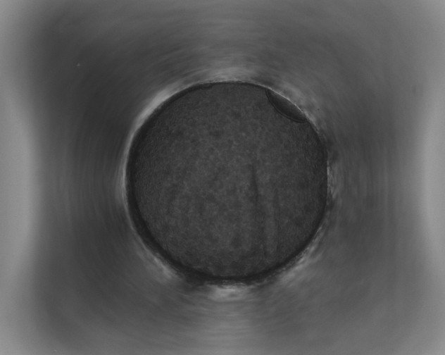 X0000111360196200907311019