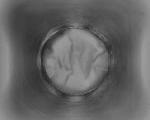 X0000111360198200907311019