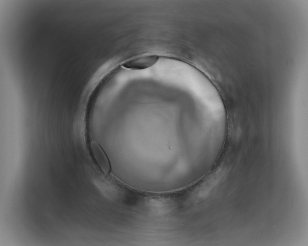 X0000111360199200907311019