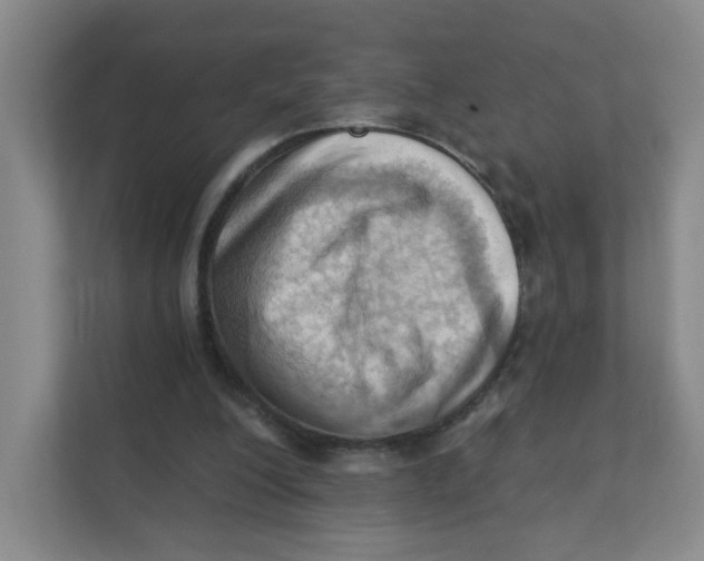 X0000111360200200907311019